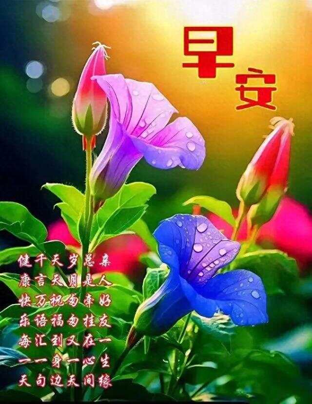 老师祝福语大全四年级(四年级祝福语集锦)