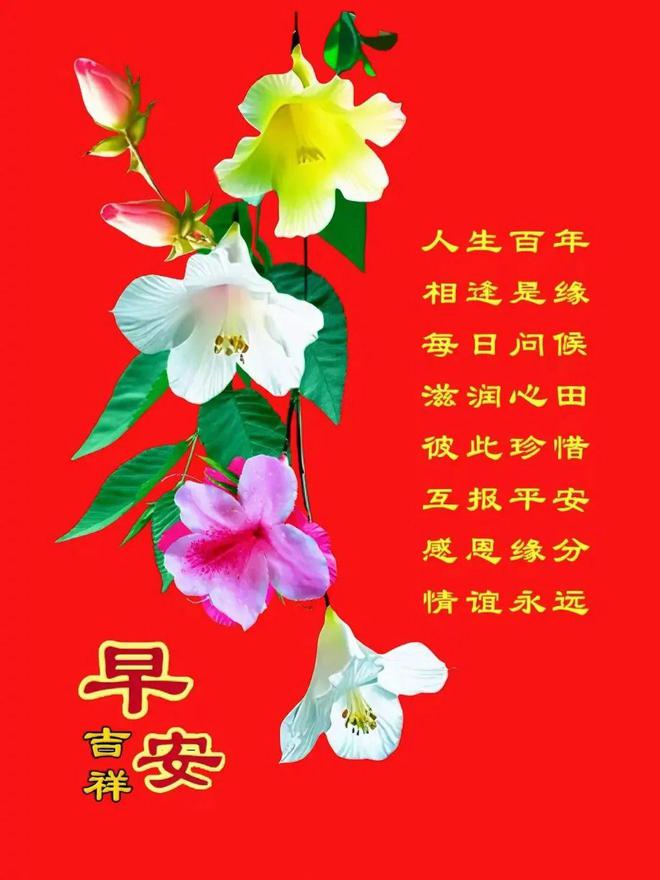 早上好祝福语文案(早上好祝福语)